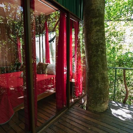 The Green Tree Lodge Monteverde Екстер'єр фото