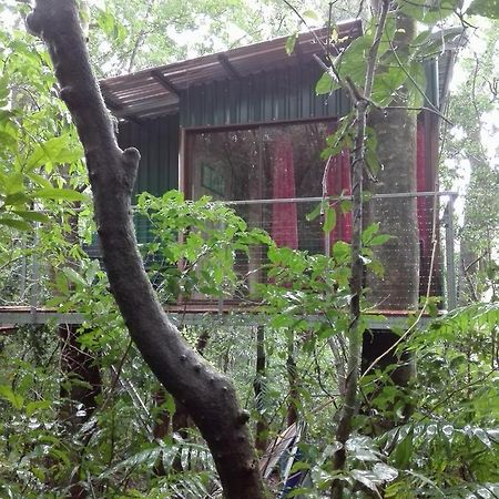 The Green Tree Lodge Monteverde Екстер'єр фото