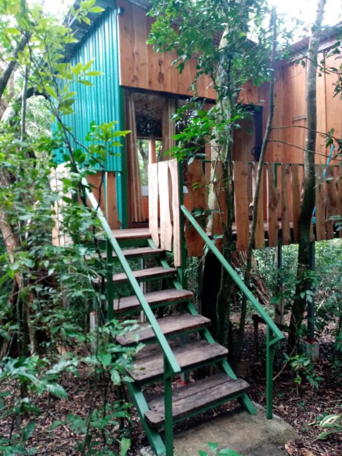 The Green Tree Lodge Monteverde Екстер'єр фото