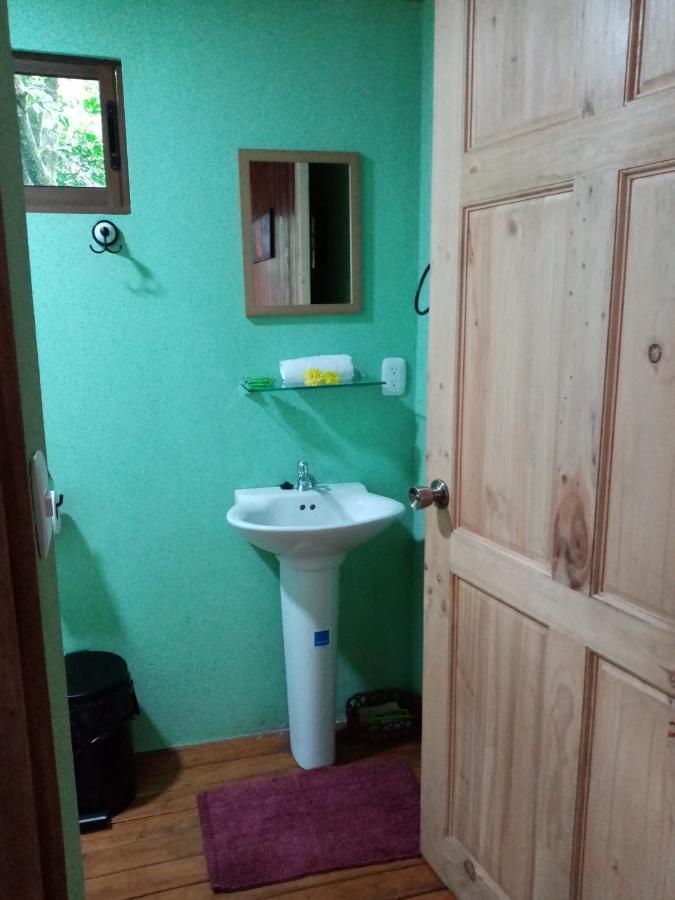 The Green Tree Lodge Monteverde Екстер'єр фото