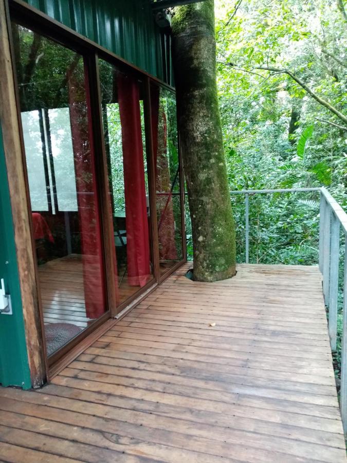 The Green Tree Lodge Monteverde Екстер'єр фото