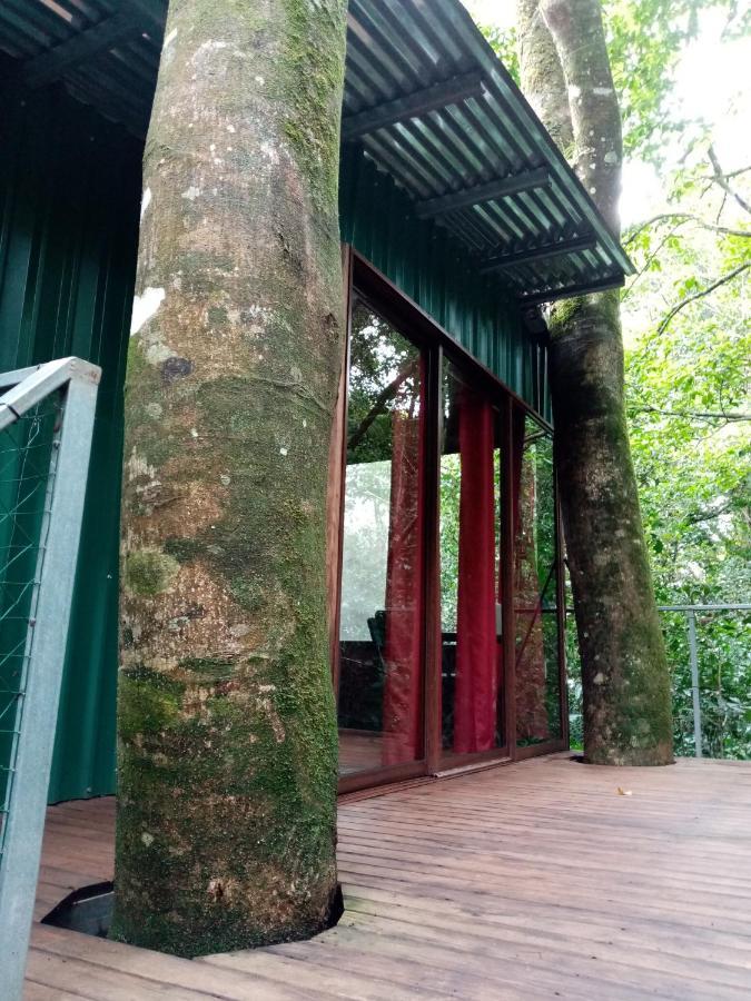 The Green Tree Lodge Monteverde Екстер'єр фото