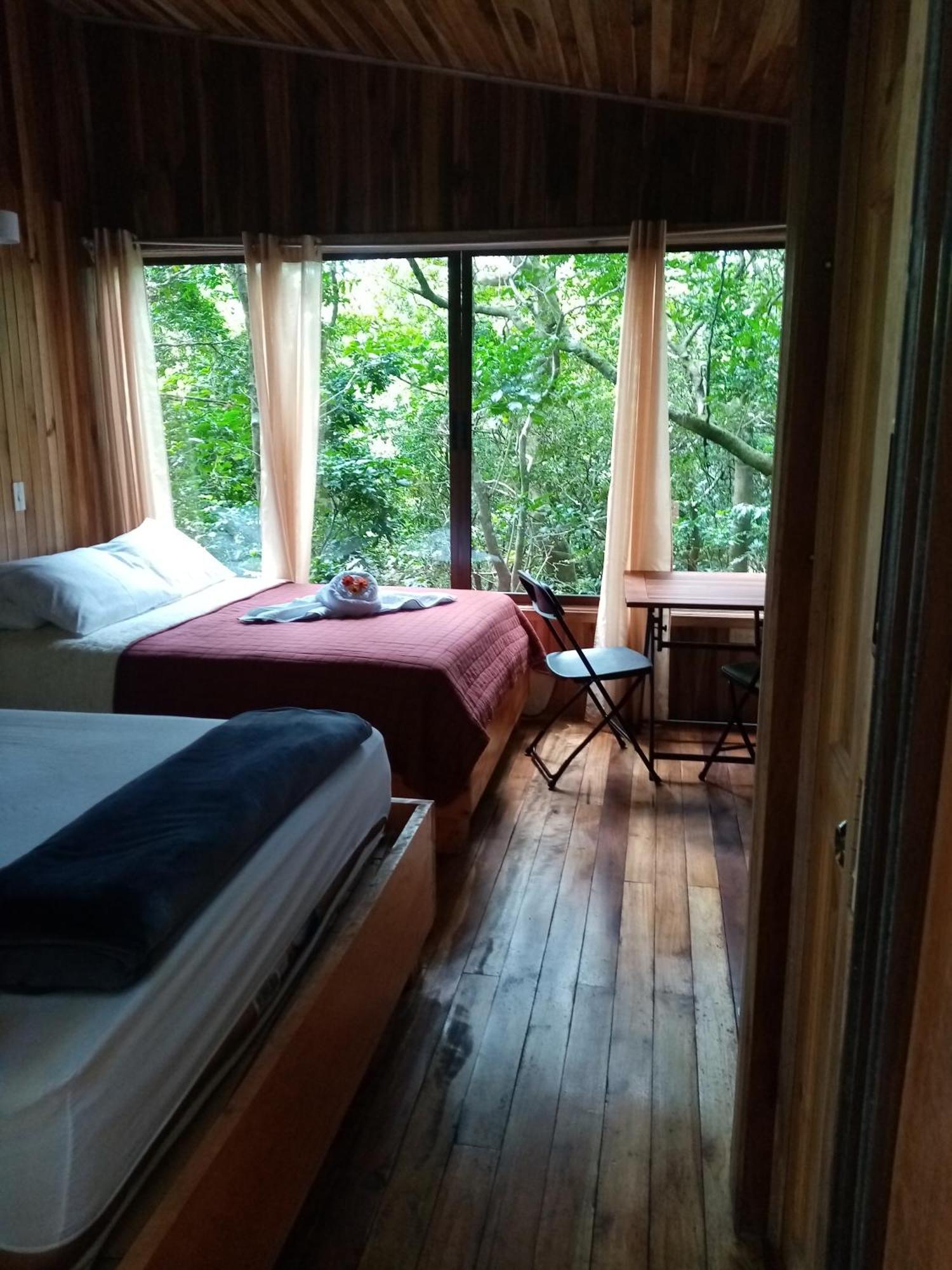 The Green Tree Lodge Monteverde Номер фото