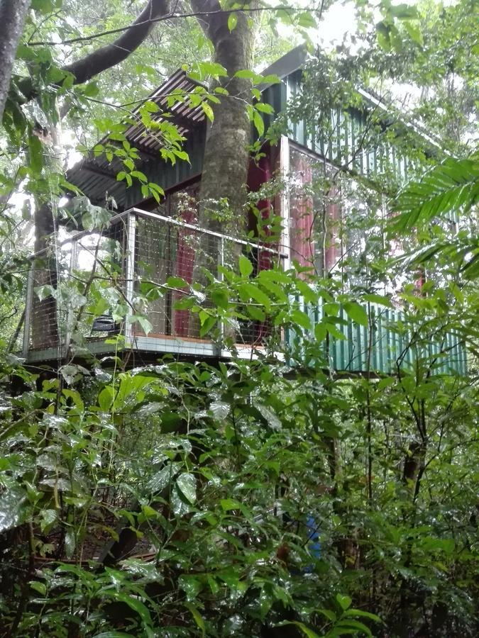 The Green Tree Lodge Monteverde Екстер'єр фото