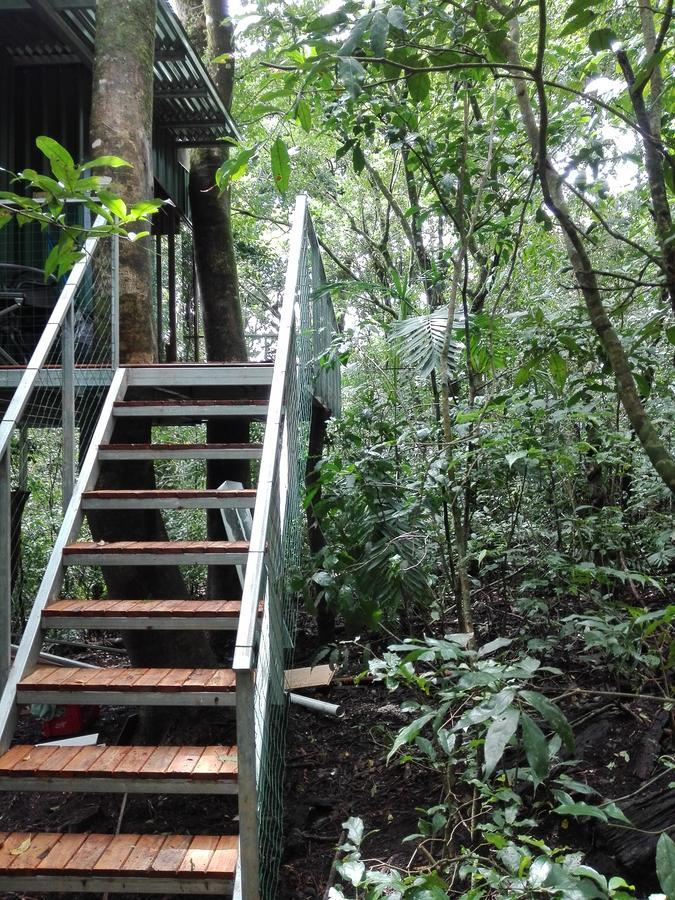 The Green Tree Lodge Monteverde Екстер'єр фото