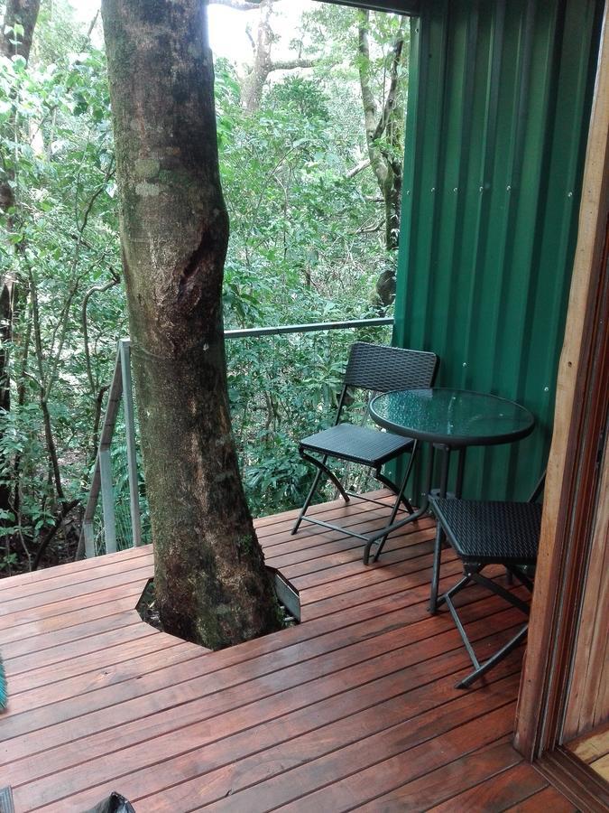 The Green Tree Lodge Monteverde Екстер'єр фото