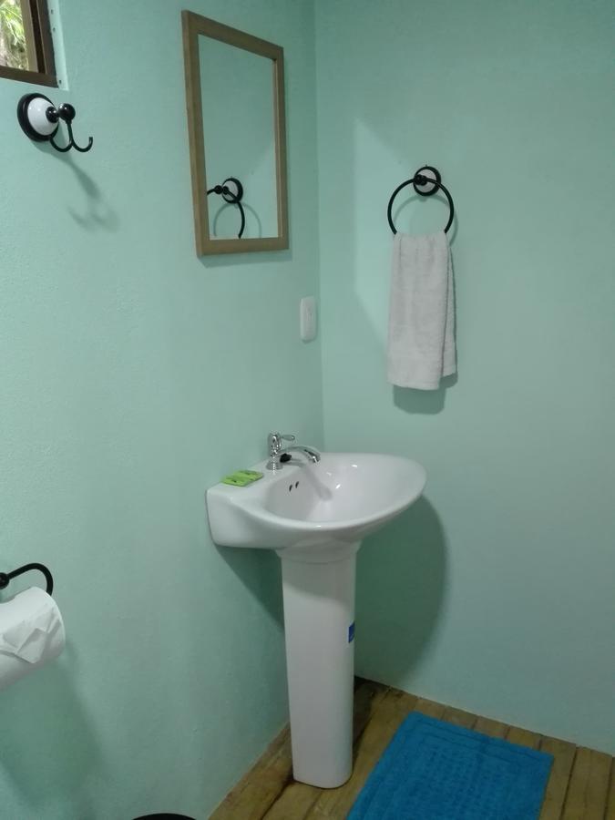 The Green Tree Lodge Monteverde Екстер'єр фото