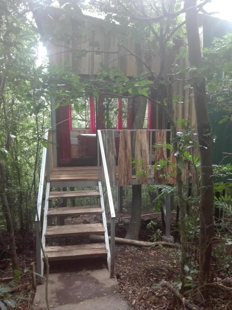 The Green Tree Lodge Monteverde Екстер'єр фото