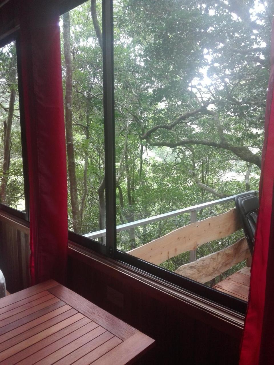 The Green Tree Lodge Monteverde Екстер'єр фото