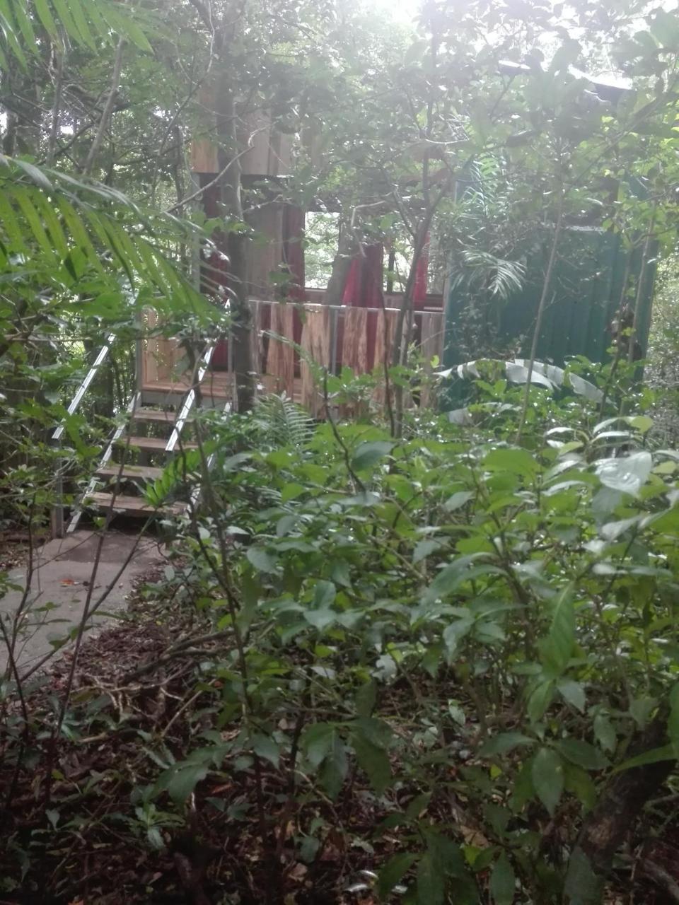 The Green Tree Lodge Monteverde Екстер'єр фото