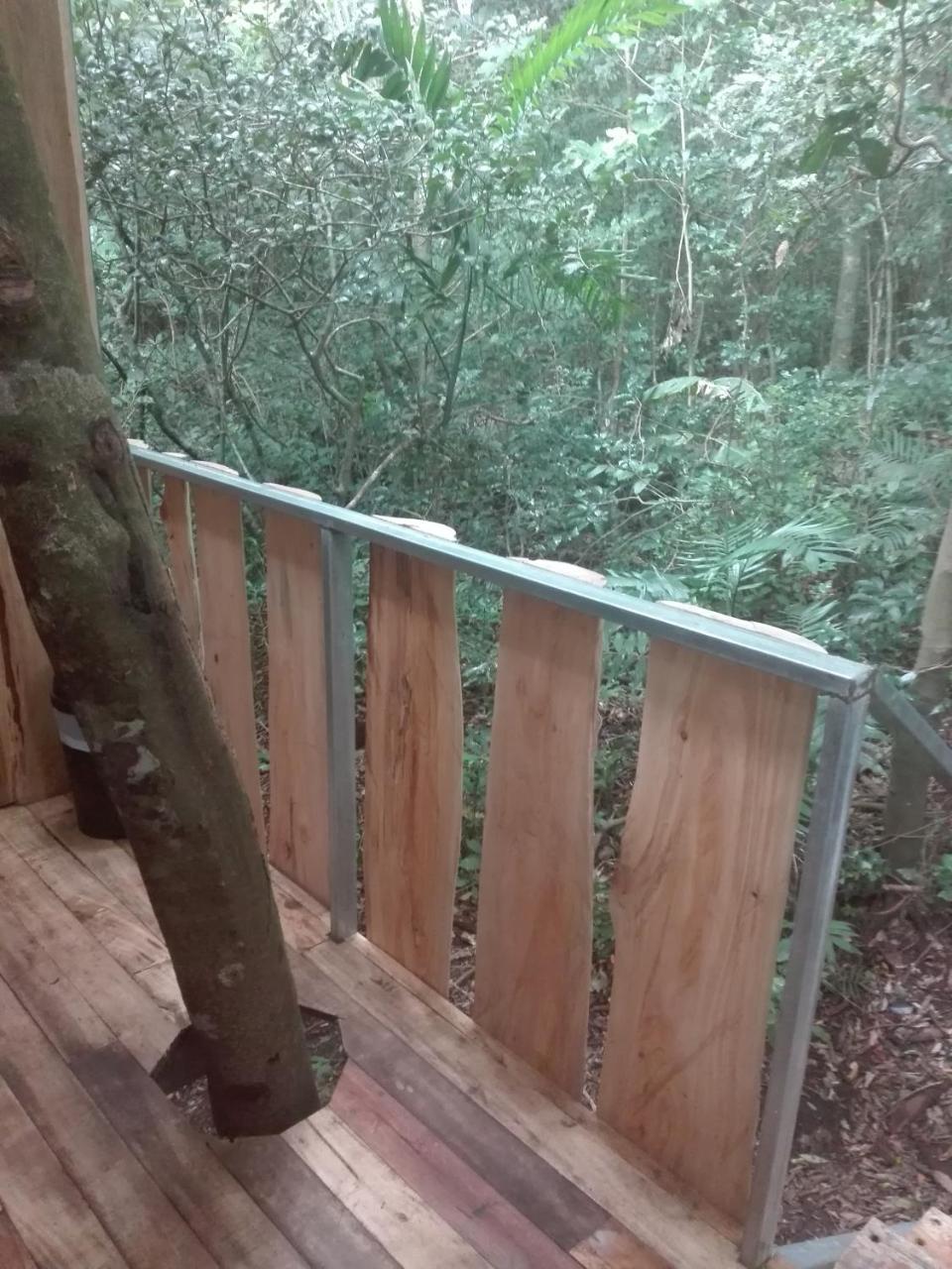 The Green Tree Lodge Monteverde Екстер'єр фото